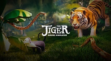 Interesting Things About Tiger Gaming